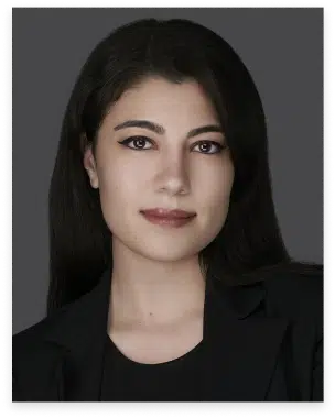 profile photo of attorney Elizabeth Kim